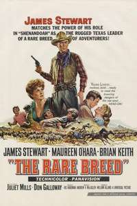 The Rare Breed - Poster