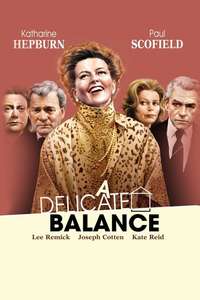A Delicate Balance - Posters