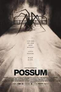 Possum - Poster