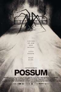 Possum - Poster