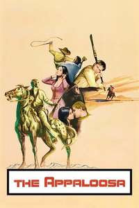 The Appaloosa - Poster