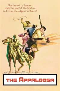 The Appaloosa - Poster