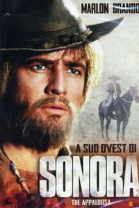 The Appaloosa - Poster
