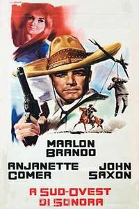 The Appaloosa - Poster
