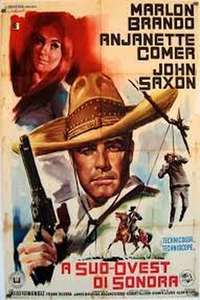 The Appaloosa - Poster
