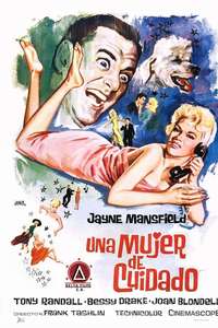 Will Success Spoil Rock Hunter? - Poster