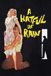 A Hatful of Rain - Posters