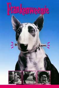 Frankenweenie - Posters