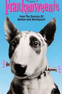 Frankenweenie - Posters