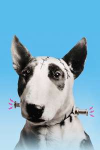 Frankenweenie - Posters