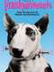 Frankenweenie