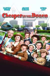 Cheaper by the Dozen - Poster