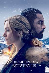 The Mountain Between Us - Posters