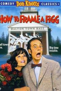 How to Frame a Figg - Poster