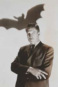 The Bat - Poster