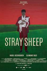 Stray Sheep - Poster