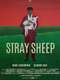 Stray Sheep