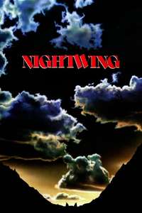 Nightwing - Posters