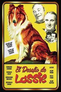Challenge to Lassie - Posters