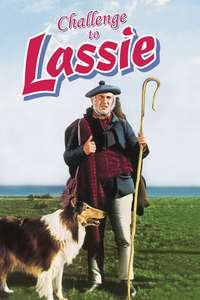 Challenge to Lassie - Posters