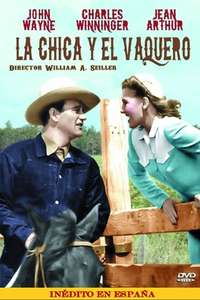 A Lady Takes a Chance - Poster