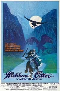 The Shadow of Chikara - Poster