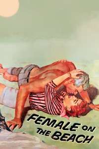 Female on the Beach - Poster