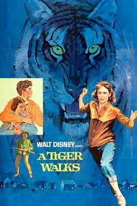 A Tiger Walks - Posters