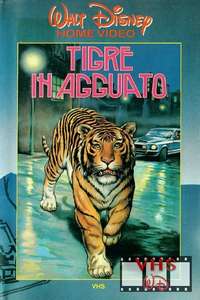 A Tiger Walks - Posters