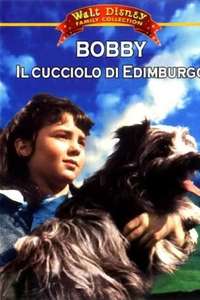 Greyfriars Bobby: The True Story of a Dog - Poster