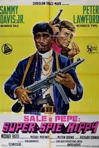 Salt & Pepper - Posters