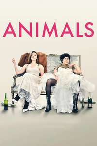 Animals - Poster