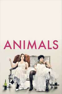 Animals - Poster