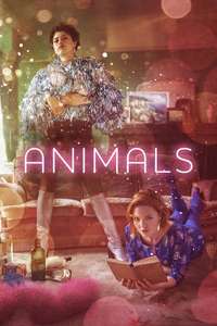 Animals - Poster