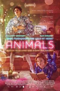 Animals - Poster