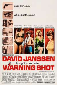 Warning Shot - Posters