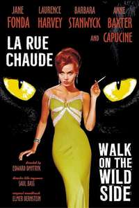 Walk on the Wild Side - Poster
