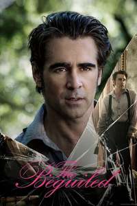The Beguiled - Poster