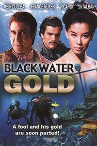 Black Water Gold - Posters