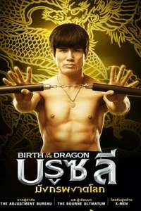 Birth of the Dragon - Posters