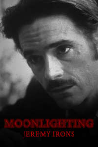 Moonlighting - Posters