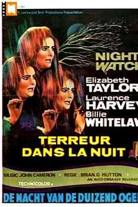 Night Watch - Poster