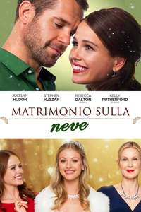Christmas Wedding Planner - Poster