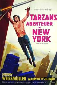 Tarzan's New York Adventure - Poster