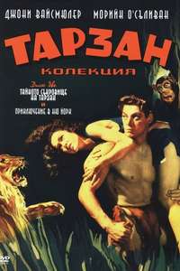 Tarzan's New York Adventure - Poster