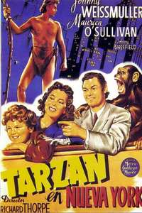 Tarzan's New York Adventure - Poster