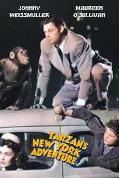 Tarzan's New York Adventure
