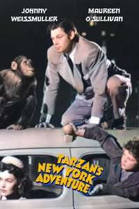 Tarzan's New York Adventure - Poster
