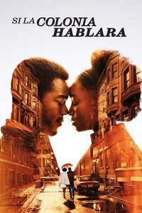 If Beale Street Could Talk - Poster