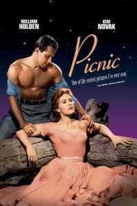Picnic - Poster
